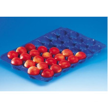 Popular Wholesale Mexico 5lb&15lb Black Blue Metric Food Grade Plastic Tray Tomato Insert